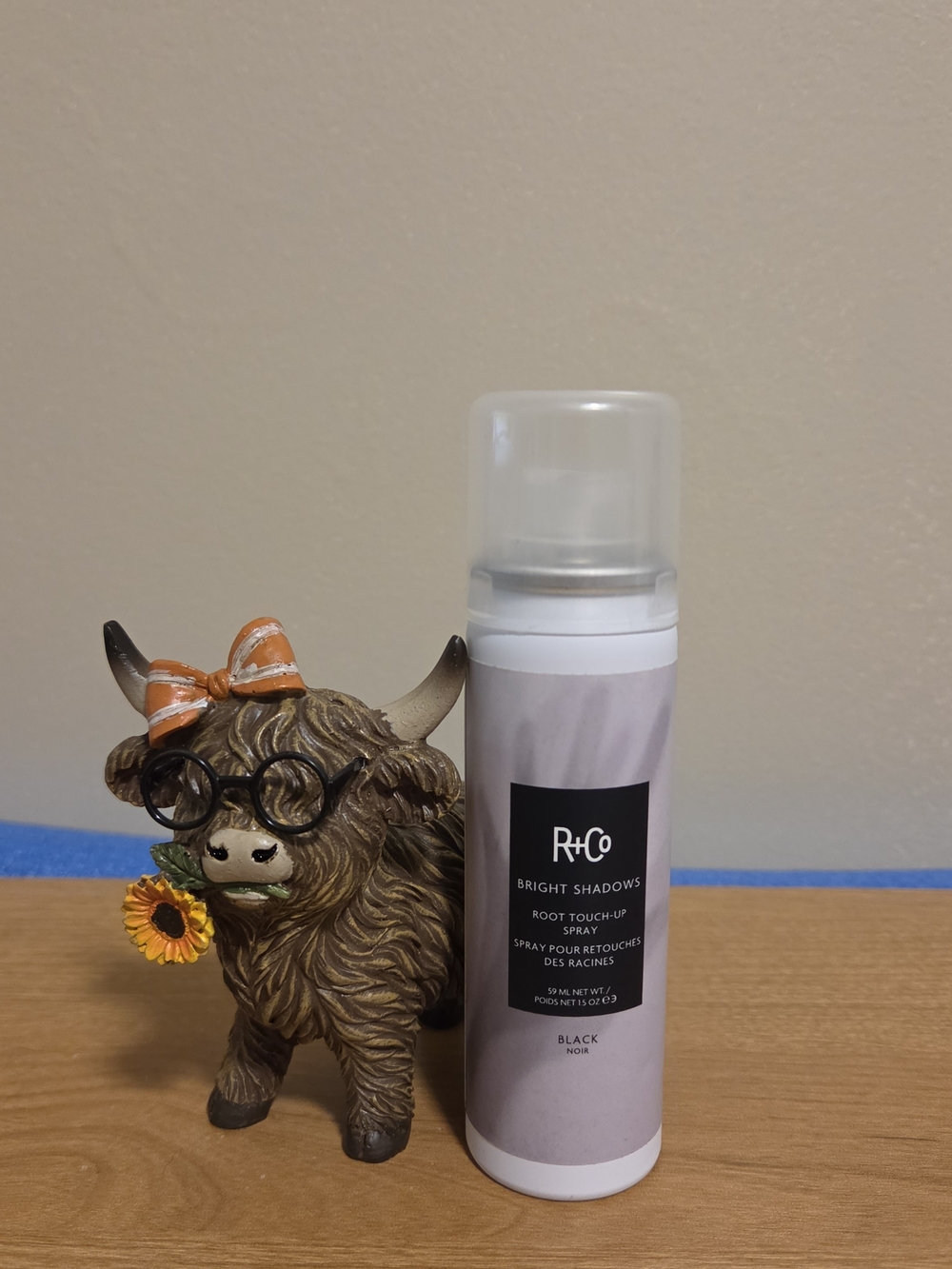 R+Co Bright Shadows Root Touch-Up Spray — Black with Tan Accent